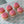Load image into Gallery viewer, 'Baby Girl!' Baby Shower Cupcakes