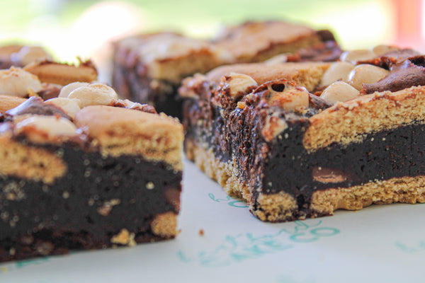 S'mores Brownies