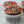 Load image into Gallery viewer, Chocolate Sprinkle Cupcakes
