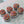 Load image into Gallery viewer, Chocolate Sprinkle Cupcakes
